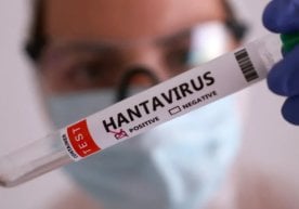 Buyuk Britaniyada xantavirus infeksiyasining yana bir