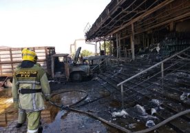 Фото:ФВВ матбуот хизмати 28 июнь куни Тошкент вилояти