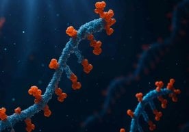Ҳа, бу фантастика эмас. Олимлар аввал бор сунъий интеллект