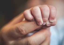 2017 йил 22 август. Соат тахминан 15:30. Тошкент шаҳар