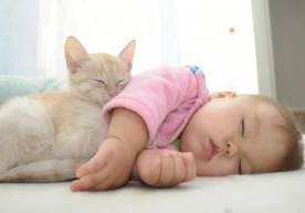 Швециядаги "Gothenburg" университети