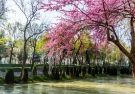 Ўзгидромет эълон қилишига кўра, 27 март куни мамлакат