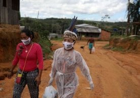 Foto: Reuters Amazoniyaning yomg‘irli o‘rmonlarida
