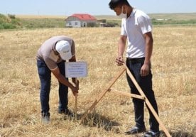 Ер майдонларини ижарага бериш тартиби ўзгаради фото