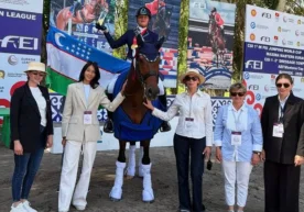 International equestrian competitions in dressage and show