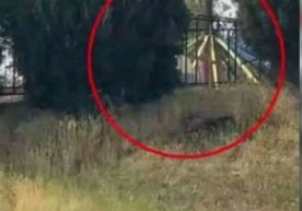 Андижон вилоятидаги истироҳат боғида содир бўлган бахтсиз