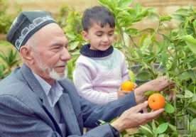 Маълумки, апельсин, киви, папайя каби мевалар асосан