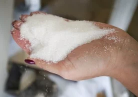 Йель университети олимлари шакар ичак микрофлораси