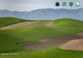 Фото: ЎзА Табиатни, атроф-муҳитнинг бетакрор гўзаллиги ва
