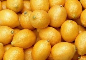 Ўзбекистонда лимон нархи 65% га ошиб, ҳар килоси 70 минг