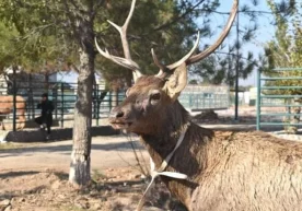 Фото: Давлат экология қўмитаси ахборот хизмати 2019