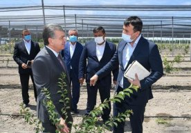 Prezident Farg‘onaga amaliy tashrifini boshladi фото