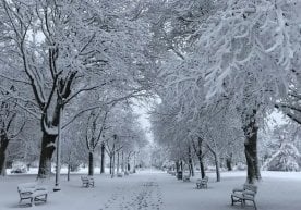 Ўзгидрометнинг прогнозига кўра, декабрьнинг биринчи