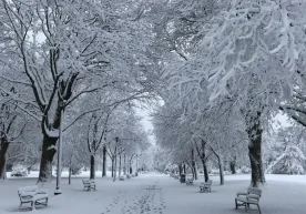 Ўзгидрометнинг прогнозига кўра, декабрьнинг биринчи