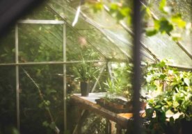 Миллий экология қўмитаси Тошкентдаги 10 та иссиқхона