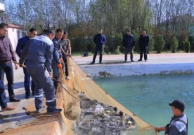 4 ноябрь куни Самарқанд вилоятининг Самарқанд туманида