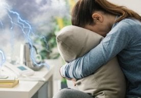Яқинда телевидение орқали кўрсатилаётган бир вилоятнинг