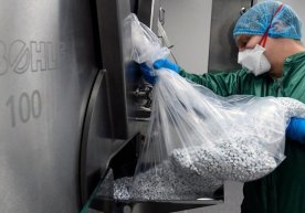 Россиянинг коронавирусга қарши дори воситаси нархи икки бараварга арзонлашди фото