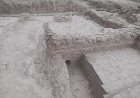 Фото: Бош прокуратура Қорақалпоғистоннинг Мўйноқ туманида