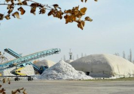 Фарғона вилояти пахта режасини биринчи бўлиб бажарди фото