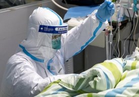 Koronavirus qaytalagan bemorga mutaxassis maslahat berdi фото