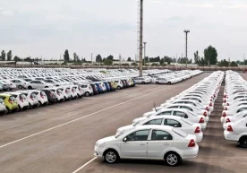 Ҳозирги кунда Ўзбекистонда жуда кўпчилик фуқаролар