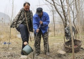 Сўқир ва қўлсиз икки дўстнинг мислсиз матонати ҳақида (фото) фото