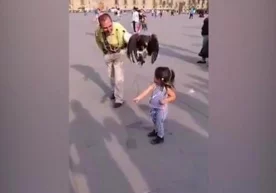 Мехикода бургут қизалоқнинг бошига чанг солди, деб хабар