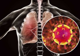 Olimlar: koronavirus odam organizmiga moslashib oldi, endi yuqishi tezlashadi фото