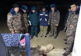 Фото: Давлат Экология қўмитаси Давлат Экология