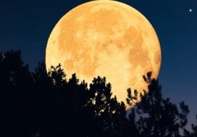 Жорий йилнинг энг йирик ва ёрқин астрономик ҳодисаларидан