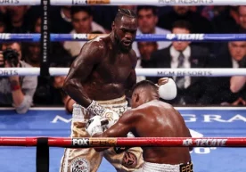 Бокс бўйича оғир вазн тоифасида WBC чемпиони Деонтей