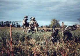 Ukraina armiyasi muammolari ekspertlar nigohida фото