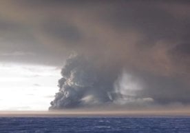 Дунё олимлари яна бир бор инсониятни жиддий хавф ҳақида