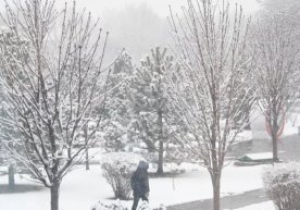 Ўзгидромет 22 декабрь куни учун об-ҳаво прогнозини эълон