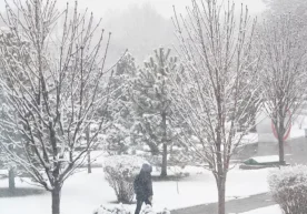 Ўзгидромет 22 декабрь куни учун об-ҳаво прогнозини эълон