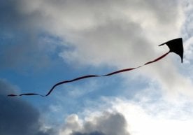 Ўзгидромет ва бир қатор манбаларга кўра, 29 март куни