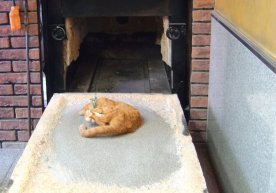 Nuestro país está dando un paso importante hacia la