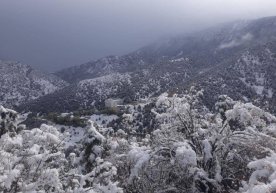 Ўзбекистонда 1 декабрь куни қор ёғиши кутилмоқда фото