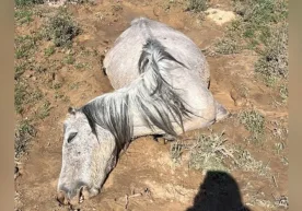 Қазақстанның Маңғыстау облысы, Қарақиян ауданында қызмет