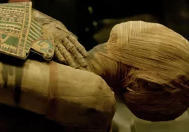 Фото: Depositphotos Лондон университети коллежи (Буюк