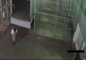 Тошкент шаҳар божхона бошқармасининг “Бош Почтампт” ТИФ
