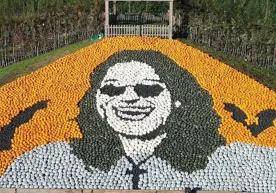 Буюк Британияда фермерлар Хеллоуин учун қовоқ ва