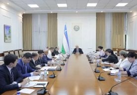 Ўзбекистонда блогерларнинг мажбуриятлари енгиллаштирилади фото