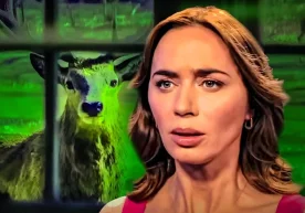 2025 йил 17 декабрь куни Universal Pictures кинокомпанияси