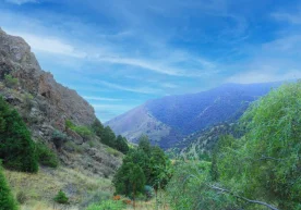 “Ўзгидромет” июль ойида аномал иссиқ кутилмаётганини