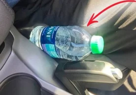 Фото: «Telegram» Йўлга чиқишдан олдин, айниқса, ёзда,