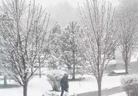 Ўзгидромет эртага, 18 январь куни кузатиладиган об-ҳаво