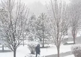 Uzhydromet has provided a brief overview of the weather