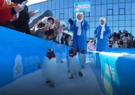 Хитойнинг Харбин шаҳрида қишнинг энг кайфиятли